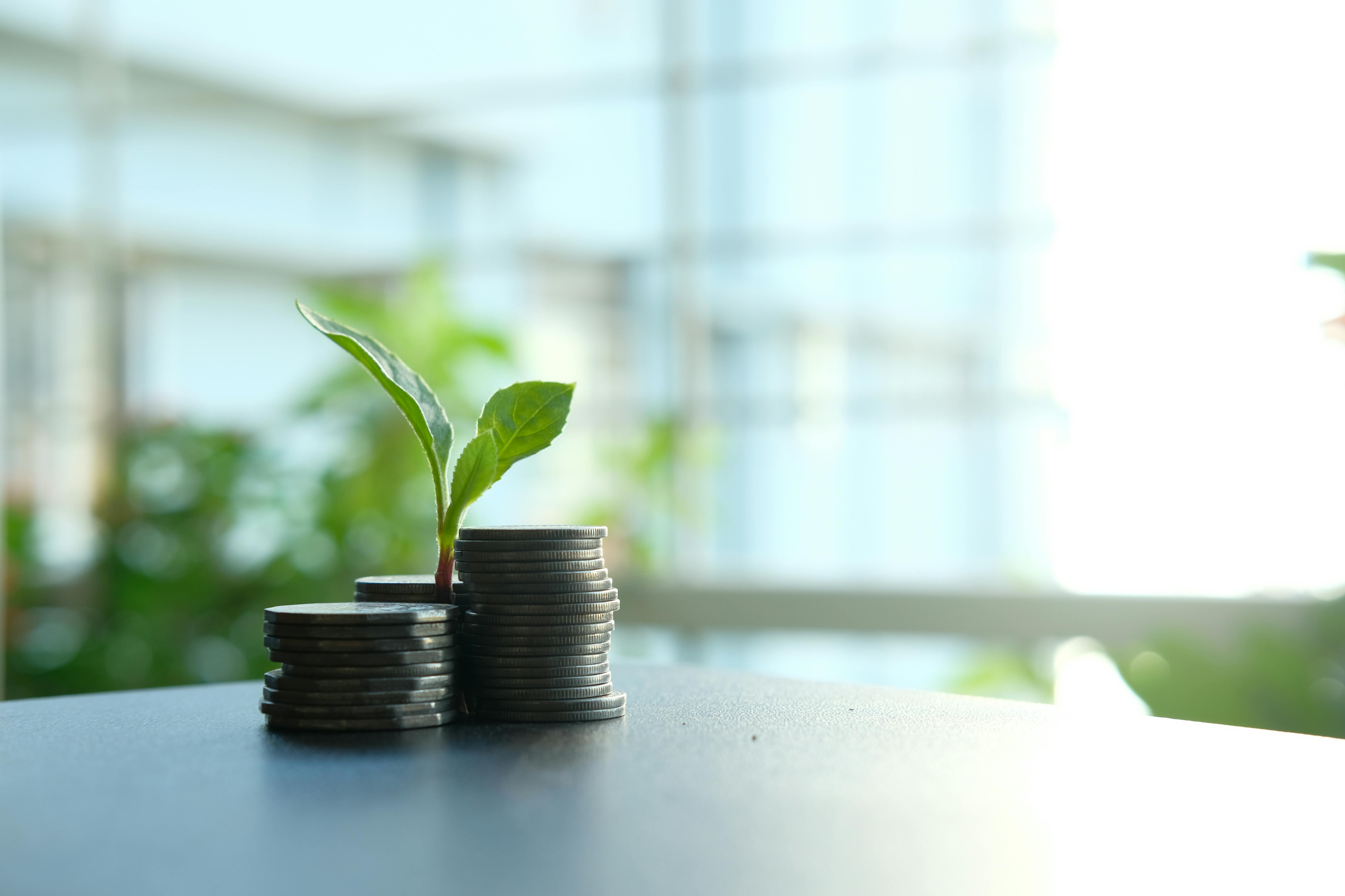 Investment Tips